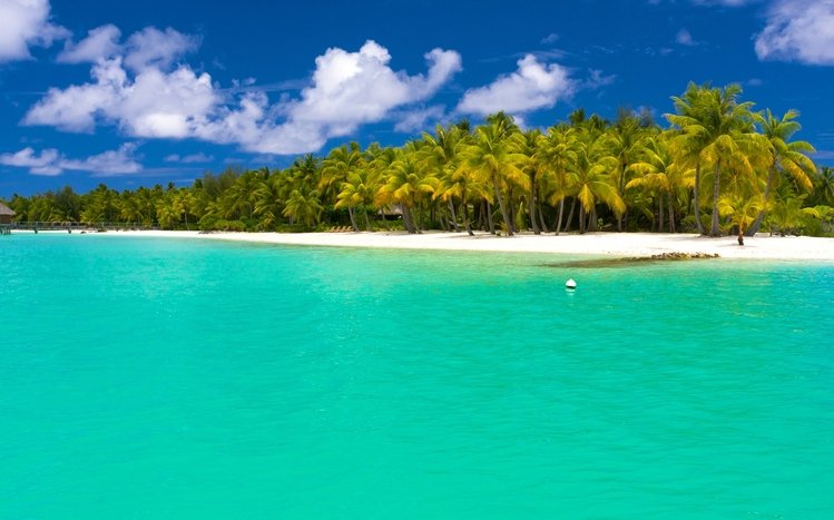 Ocean Scenes Theme screenshot #9