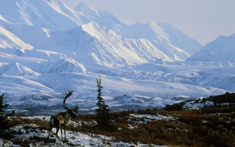 Alaska Theme screenshot #1