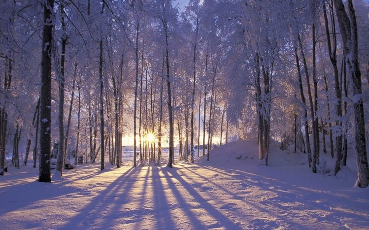 Alaska Theme screenshot #5