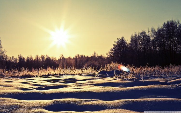 Snowy Day Theme screenshot #12