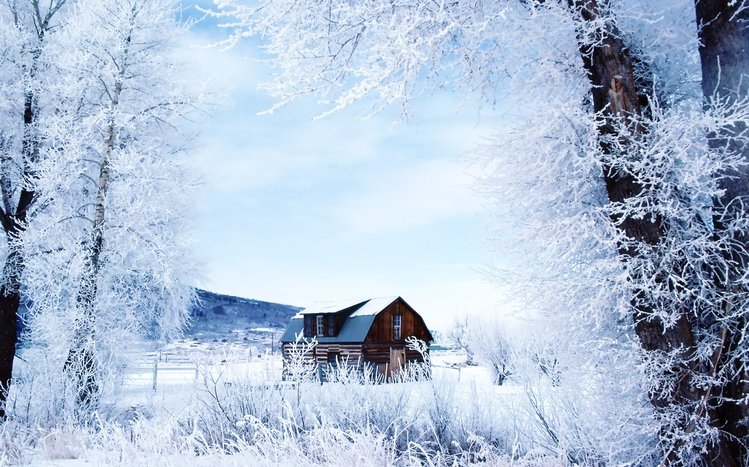 Snowy Day Theme screenshot #2