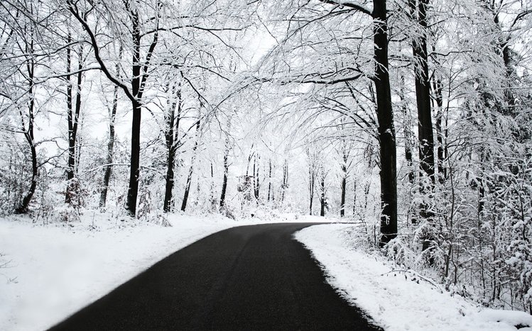 Snowy Day Theme screenshot #3