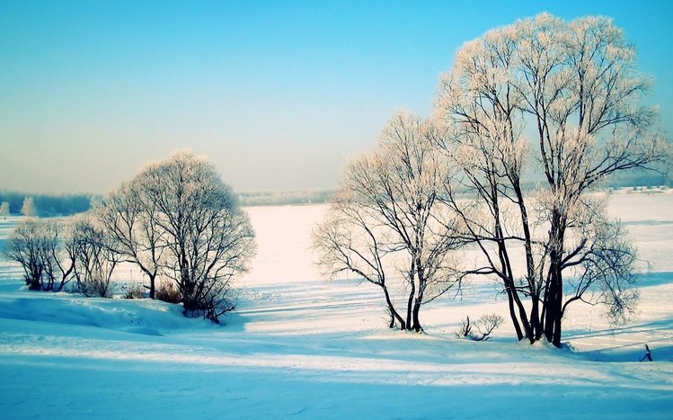 Snowy Day Theme screenshot #9