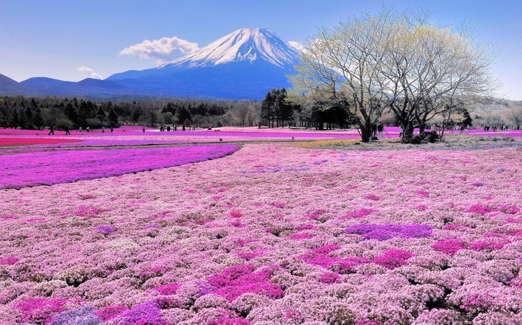 Japan Mountains Theme screenshot #7