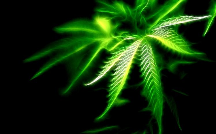 Weed Theme screenshot #13