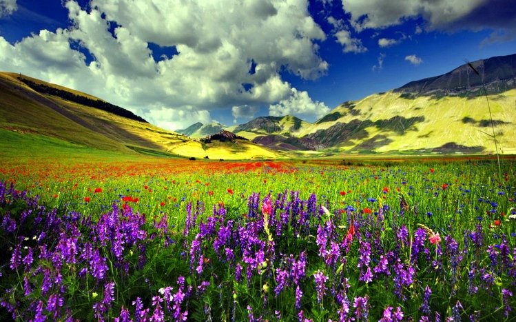 Spring Theme screenshot #16