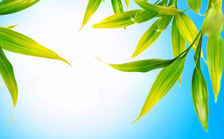 Spring Theme screenshot #17