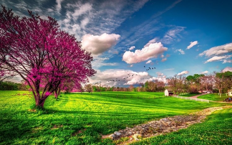 Spring Theme screenshot #2