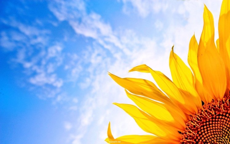 Spring Theme screenshot #6