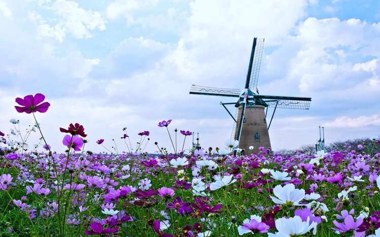 Spring Theme screenshot #9