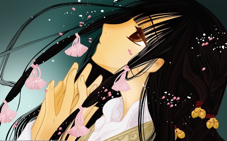XxxHOLiC Theme screenshot #1