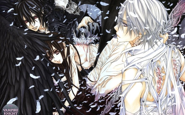 Vampire Knight Theme screenshot #23