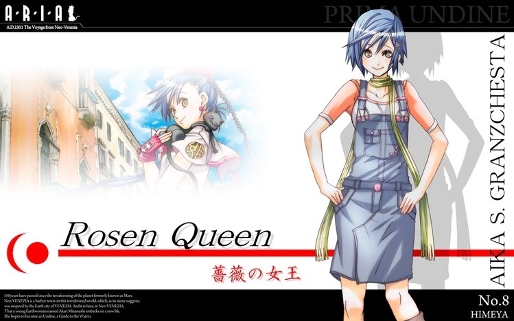 Aria Theme screenshot #3