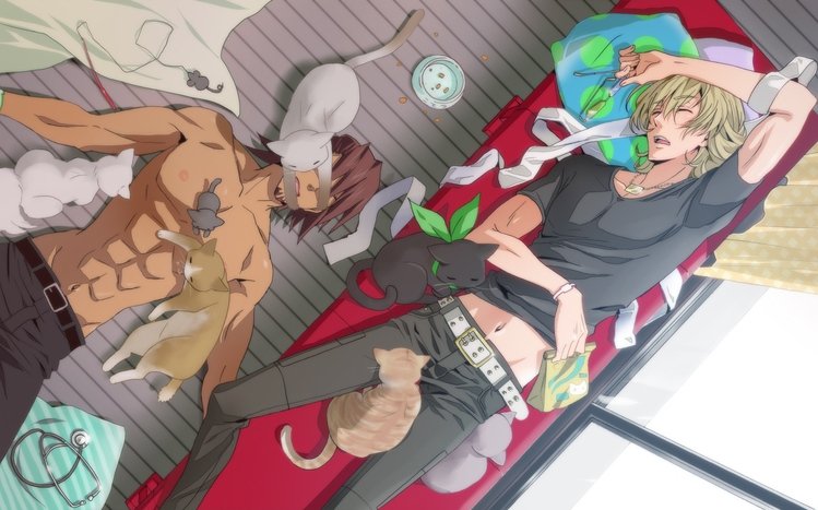 Tiger & Bunny Theme screenshot #1