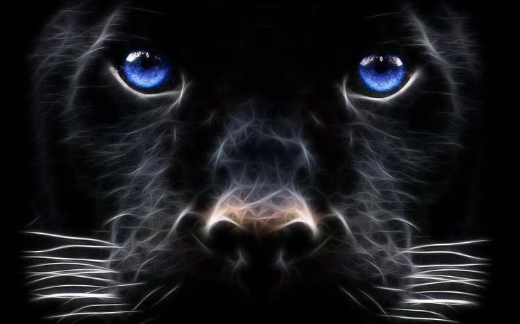 Black Panther Theme screenshot #23