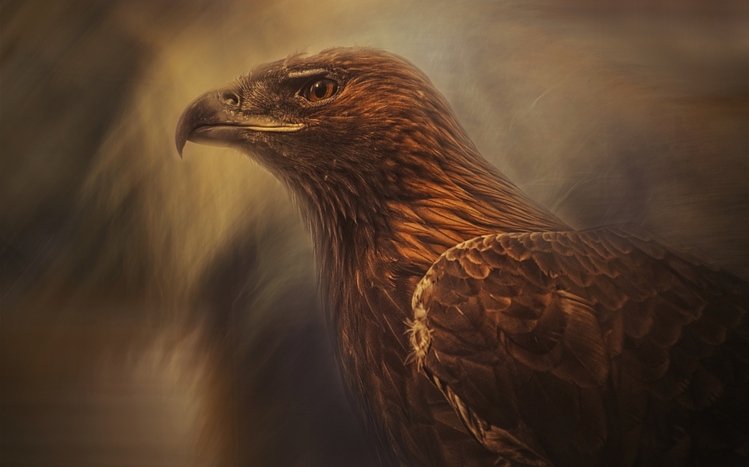 Falcon Theme screenshot #26