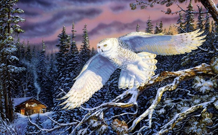 Snowy Owl Theme screenshot #3