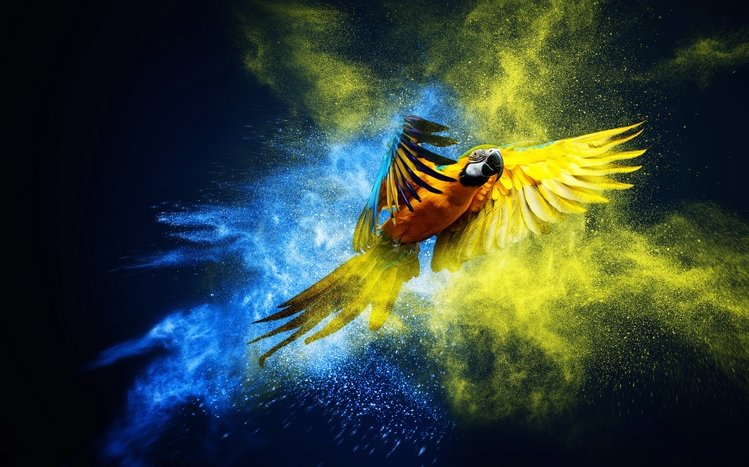 Blue And Yellow Macaw Theme screenshot #27