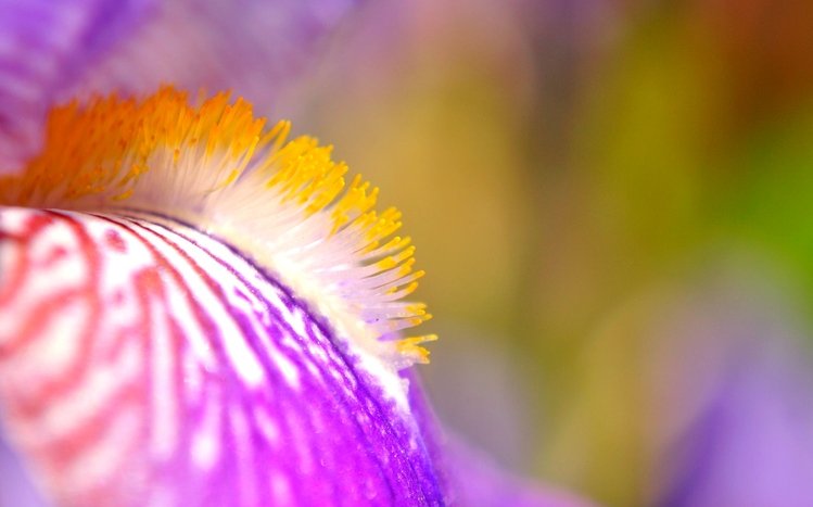 Sea Life Theme screenshot #11