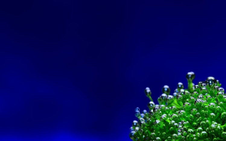 Sea Life Theme screenshot #9