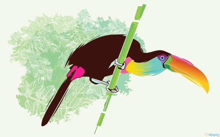 Toucan Theme screenshot #7
