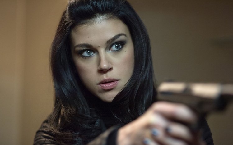 Adrianne Palicki Theme screenshot #10