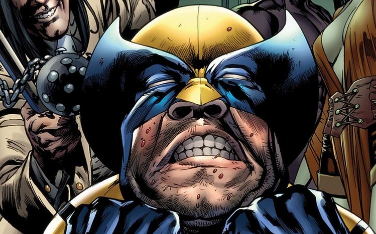 Wolverine Theme screenshot #1