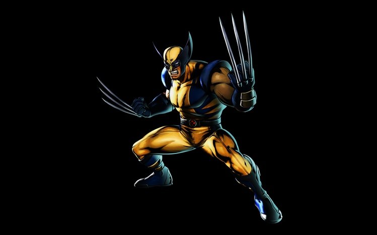 Wolverine Theme screenshot #20