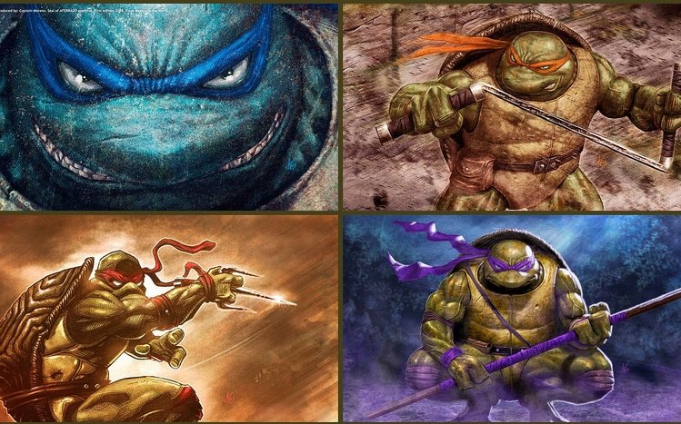 TMNT Theme screenshot #6