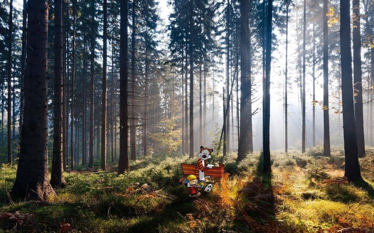 Calvin and Hobbes Theme screenshot #20