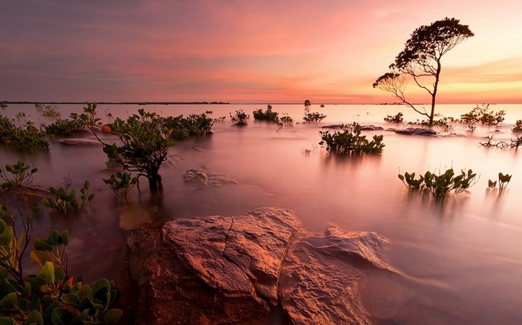 Water Theme screenshot #17