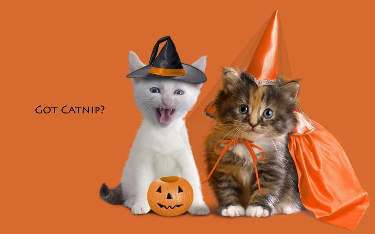 Cute Halloween Theme screenshot #15