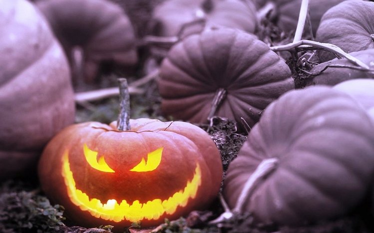 Scary Halloween Theme screenshot #10