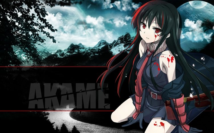 Akame ga Kill! Theme screenshot #9
