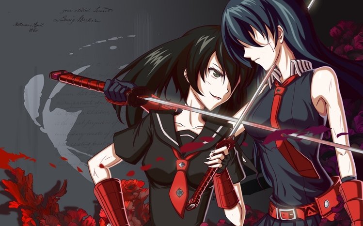 Akame ga Kill! Theme screenshot #2