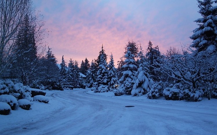 Winter Theme screenshot #1