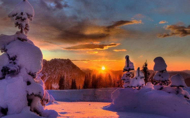 Winter Theme screenshot #18