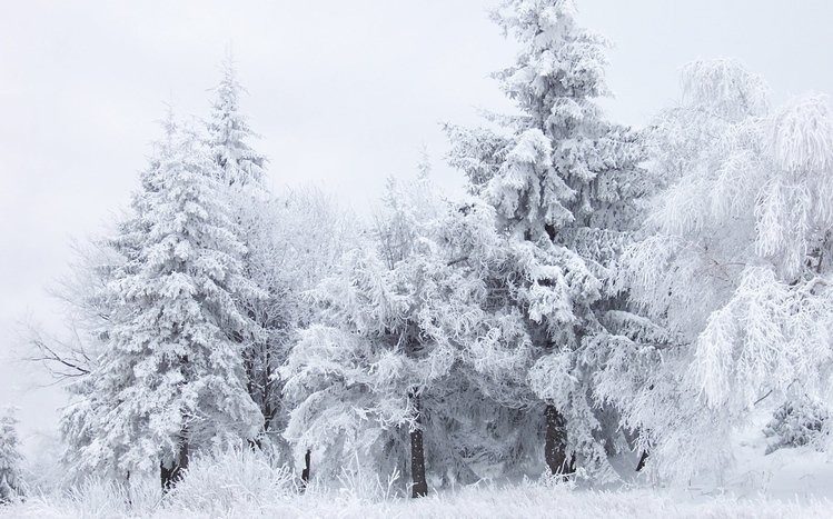 Winter Theme screenshot #2