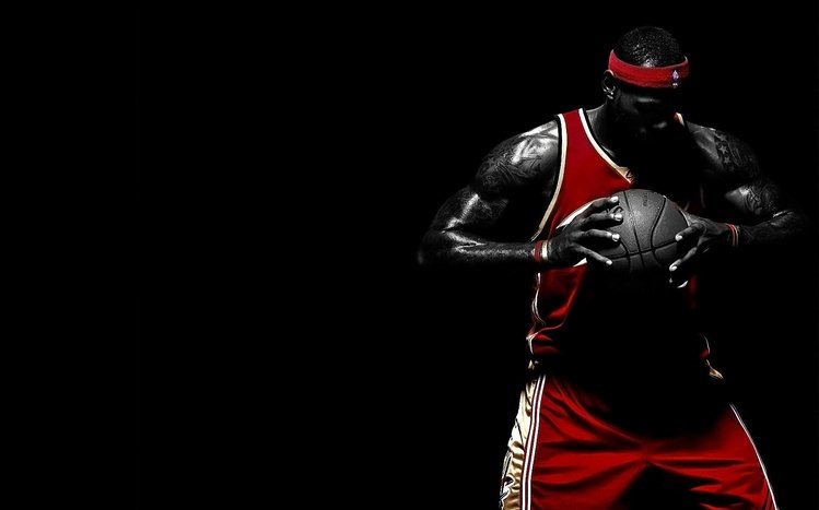 Lebron James Theme screenshot #4