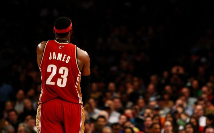 Lebron James Theme screenshot #13