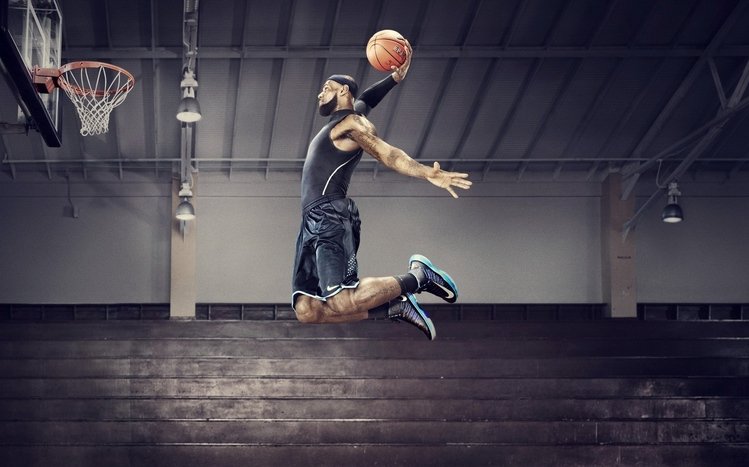 Lebron James Theme screenshot #9