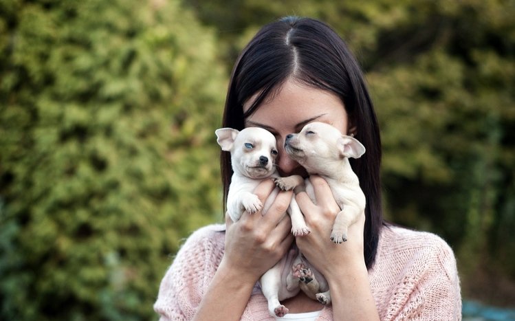 Cute Theme screenshot #14