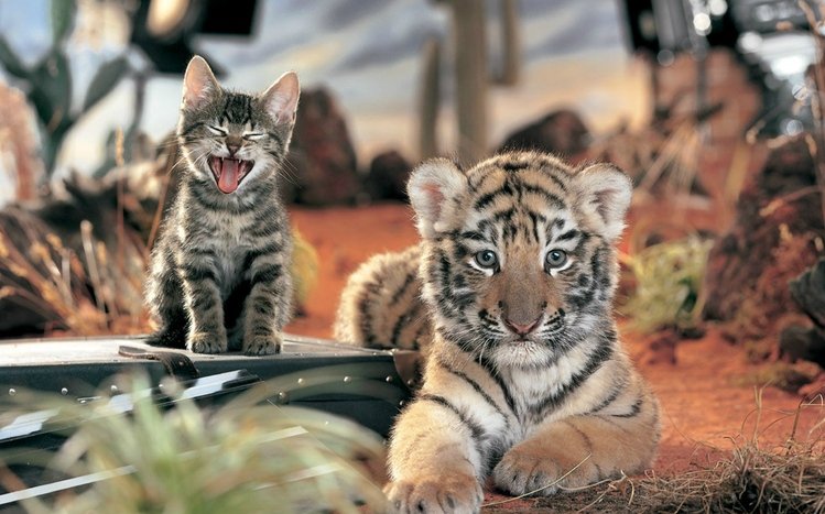 Cute Theme screenshot #13