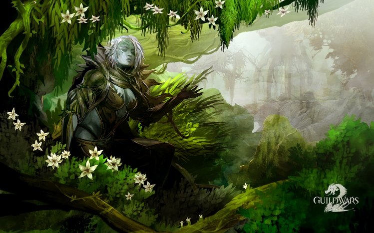 Guild Wars 2 Theme screenshot #11