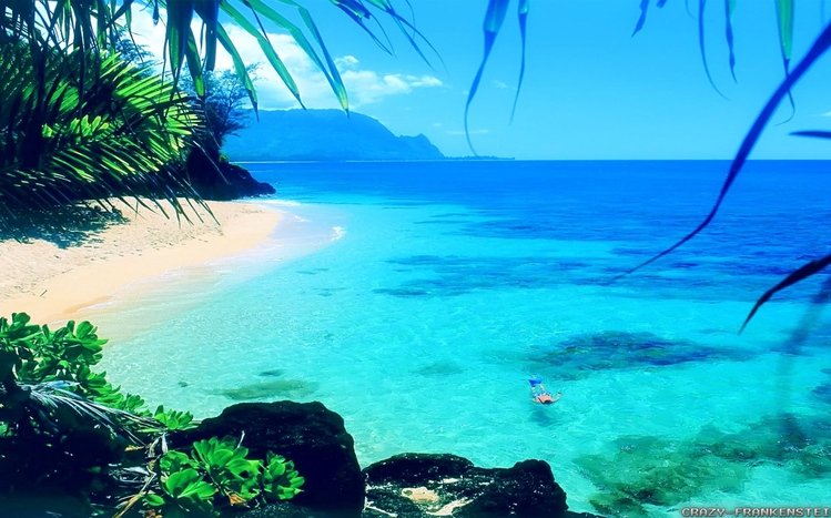 Beautiful  Theme screenshot #6