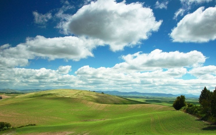 Beautiful  Theme screenshot #9