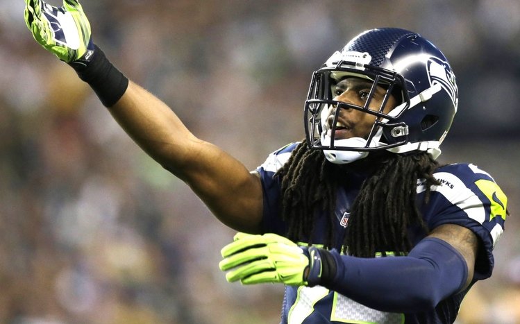 Seahawks Theme screenshot #14