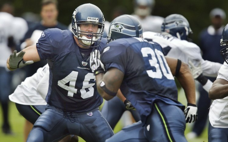 Seahawks Theme screenshot #6