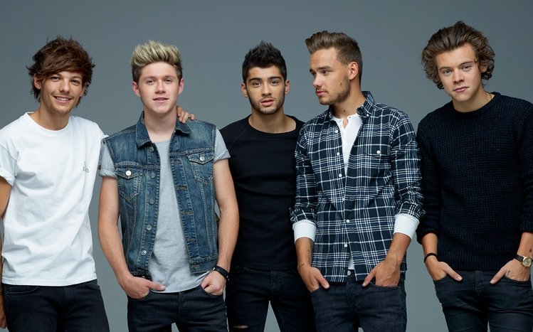 One Direction Theme screenshot #11