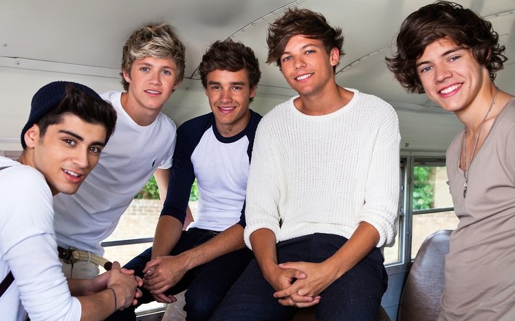 One Direction Theme screenshot #16